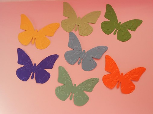 b-3205627_919d086881